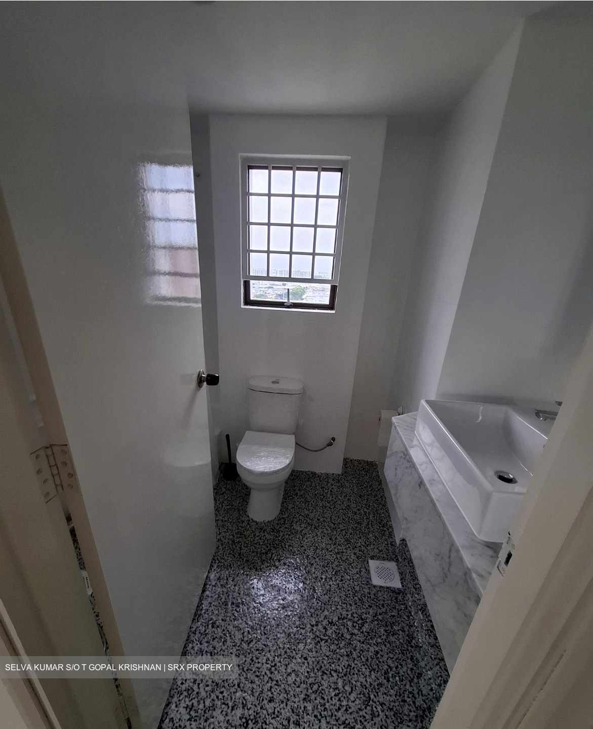 Hua Xin Court (D15), Condominium #555829911